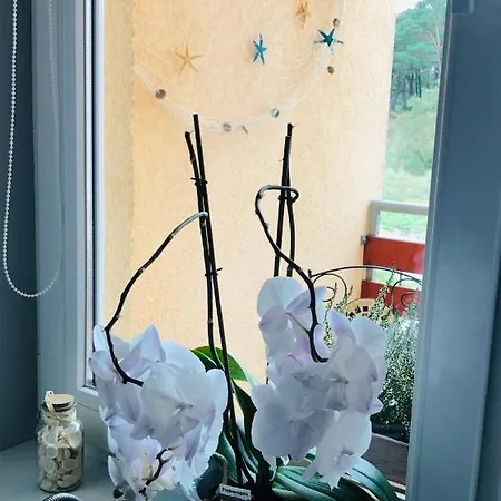 Apartament Przy Wydmie *